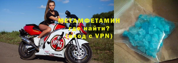 прущие грибы Богородицк