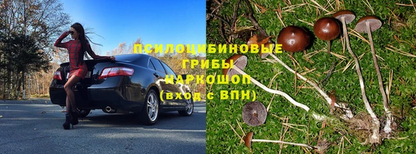 прущие грибы Богородицк