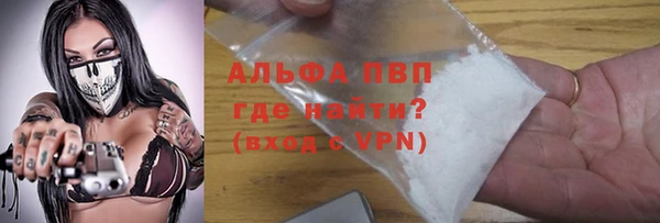 прущие грибы Богородицк