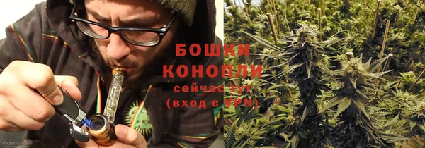 прущие грибы Богородицк