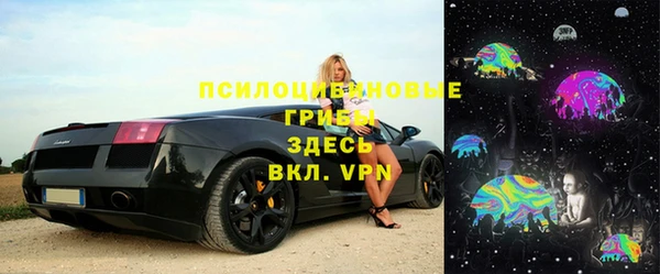прущие грибы Богородицк
