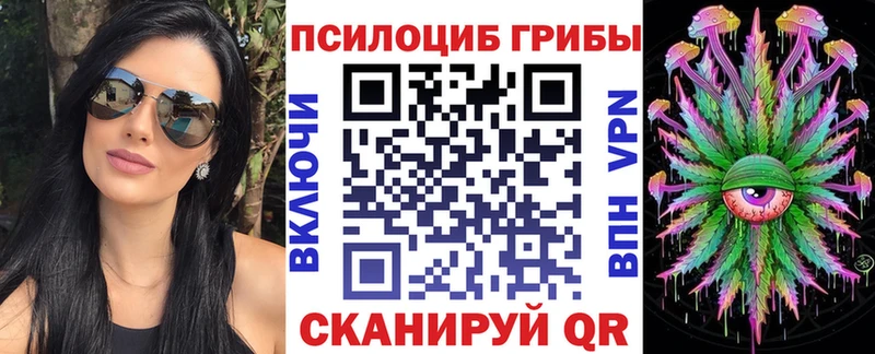 купить  сайты  Нарткала  Псилоцибиновые грибы ЛСД 